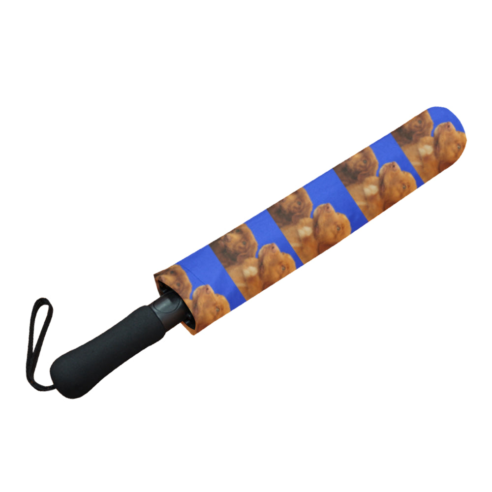 Nova Scotia Duck Tolling Retriever Umbrella