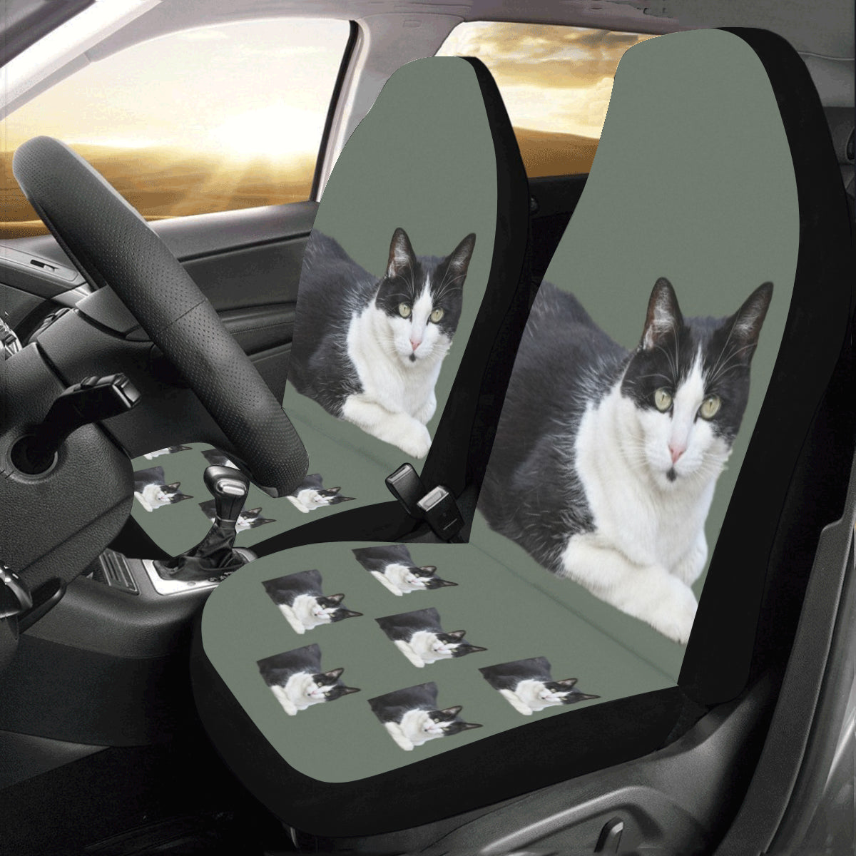Cat Car Seat Covers - Black & White (Set of 2)