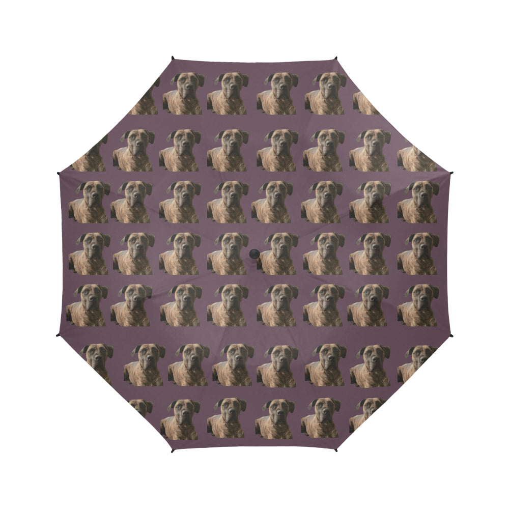 Boerboel/South African Mastiff Umbrella - Aubergine