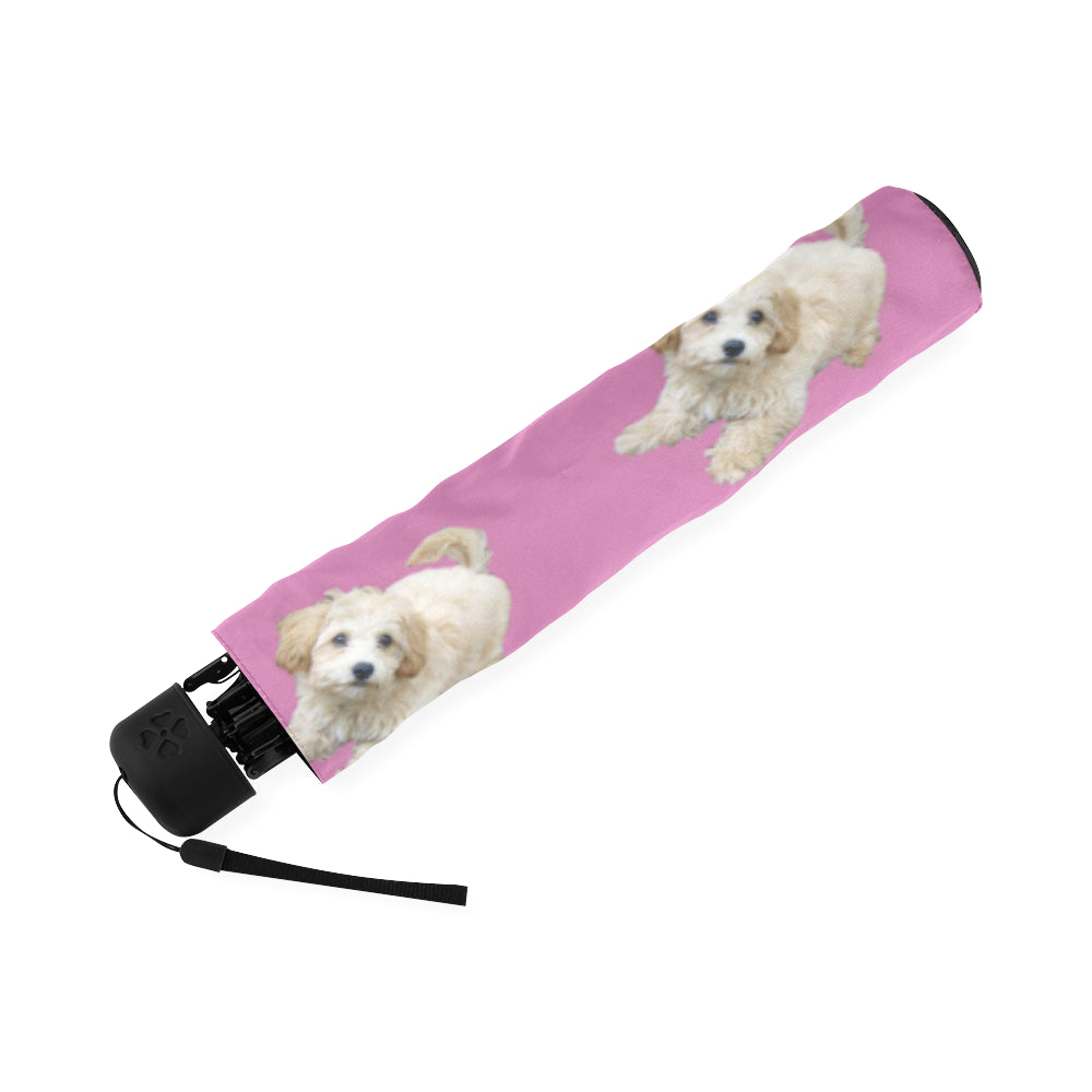 Maltipoo Umbrella - Semi-Auto