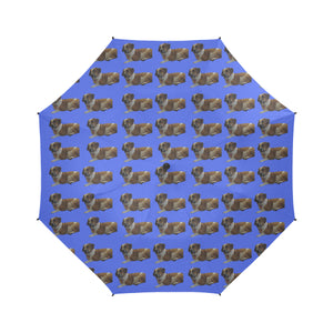 Bully Bassett Umbrella