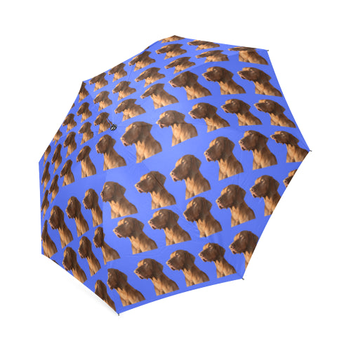 Hungarian Vizsla Umbrella - Blue