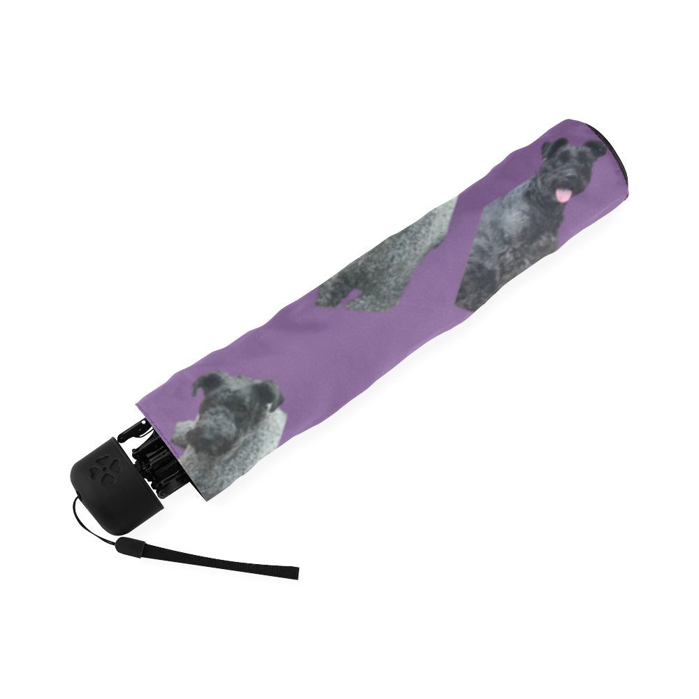 Kerry Blue Sherry Umbrella - Purple