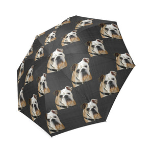English/Brittish Bulldog Umbrella