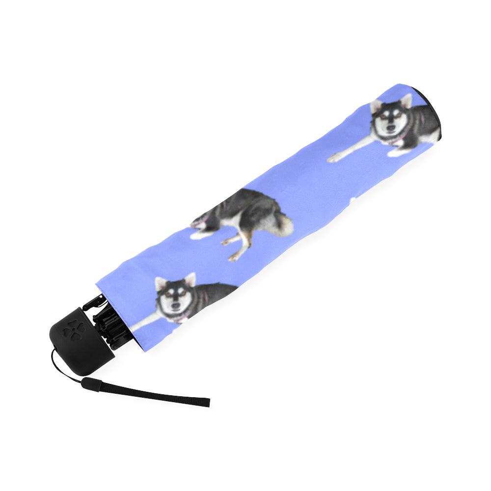 Alaskan Klee Kai Umbrella - Blue