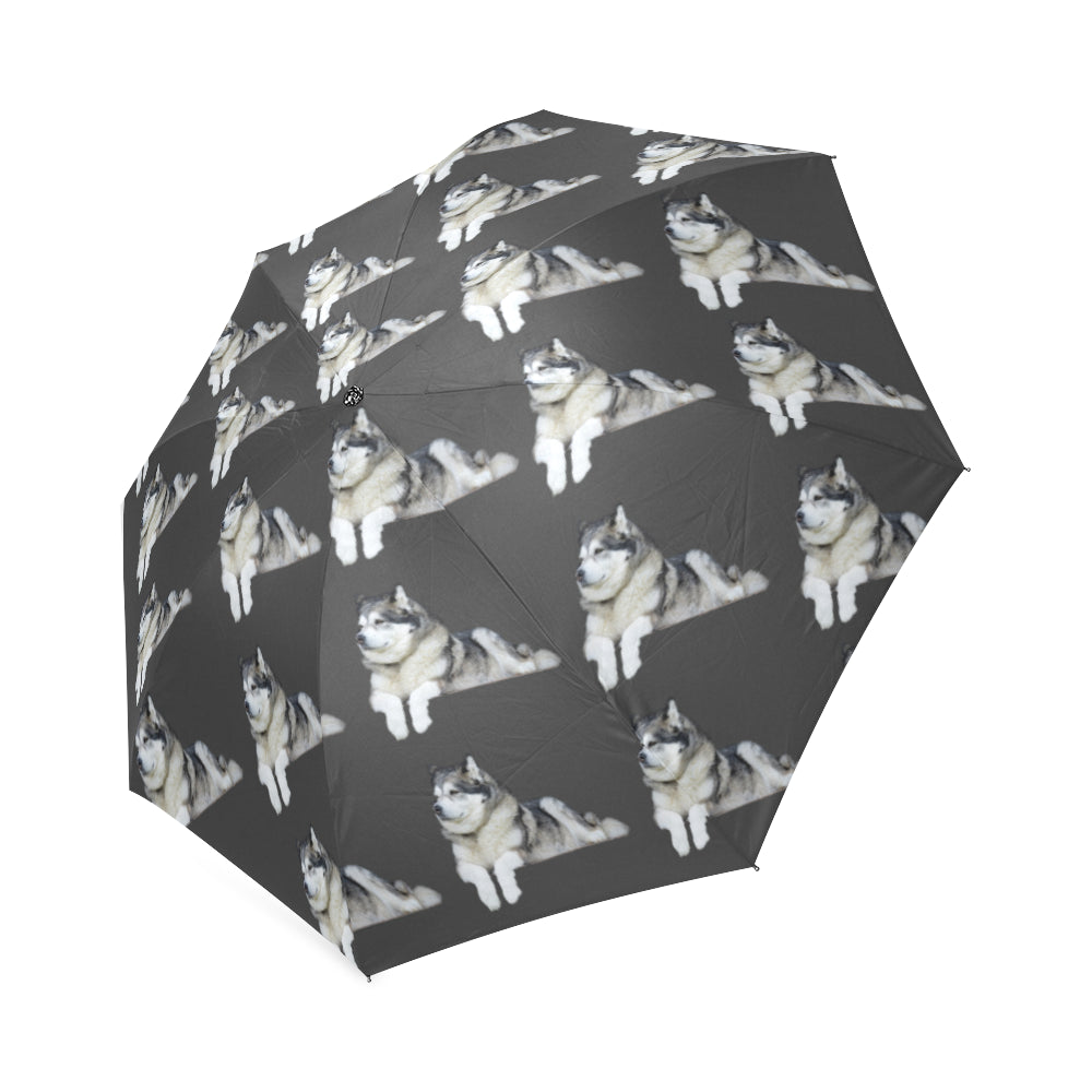 Alaskan Malamute Umbrella