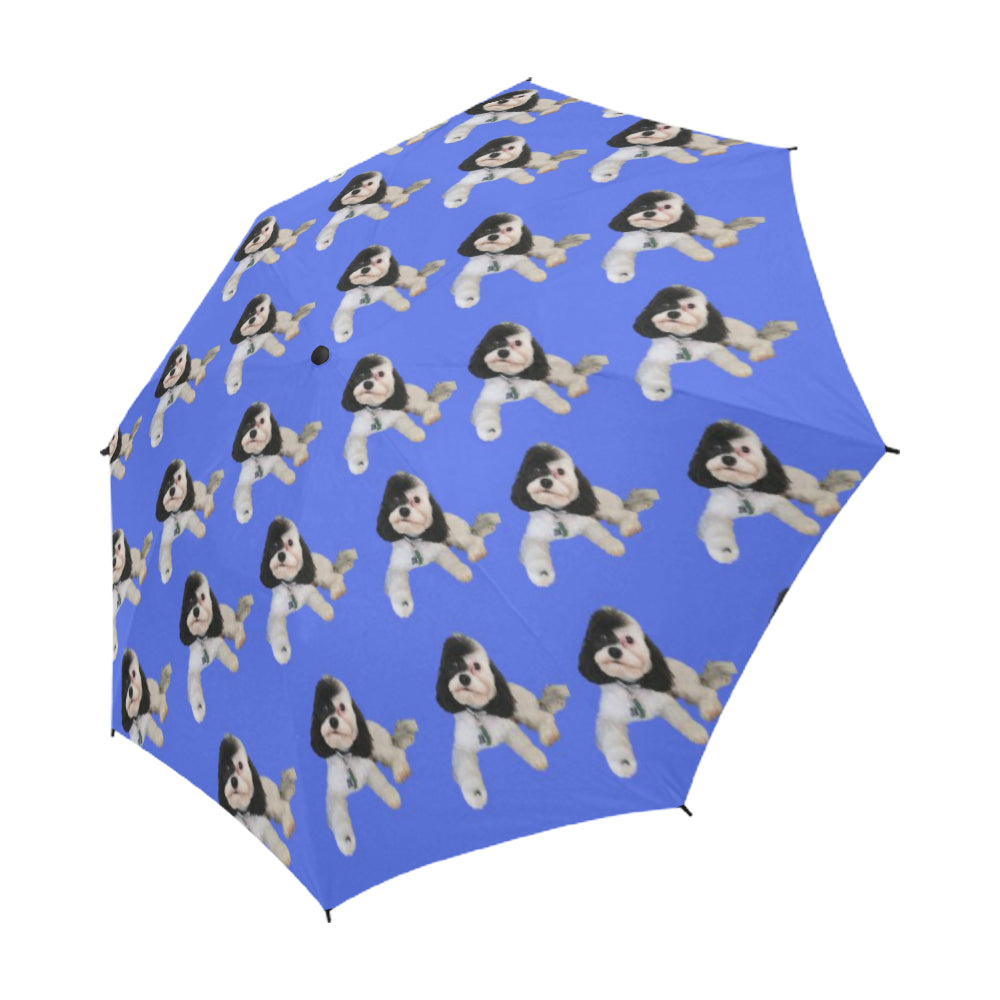 Wally Umbrella