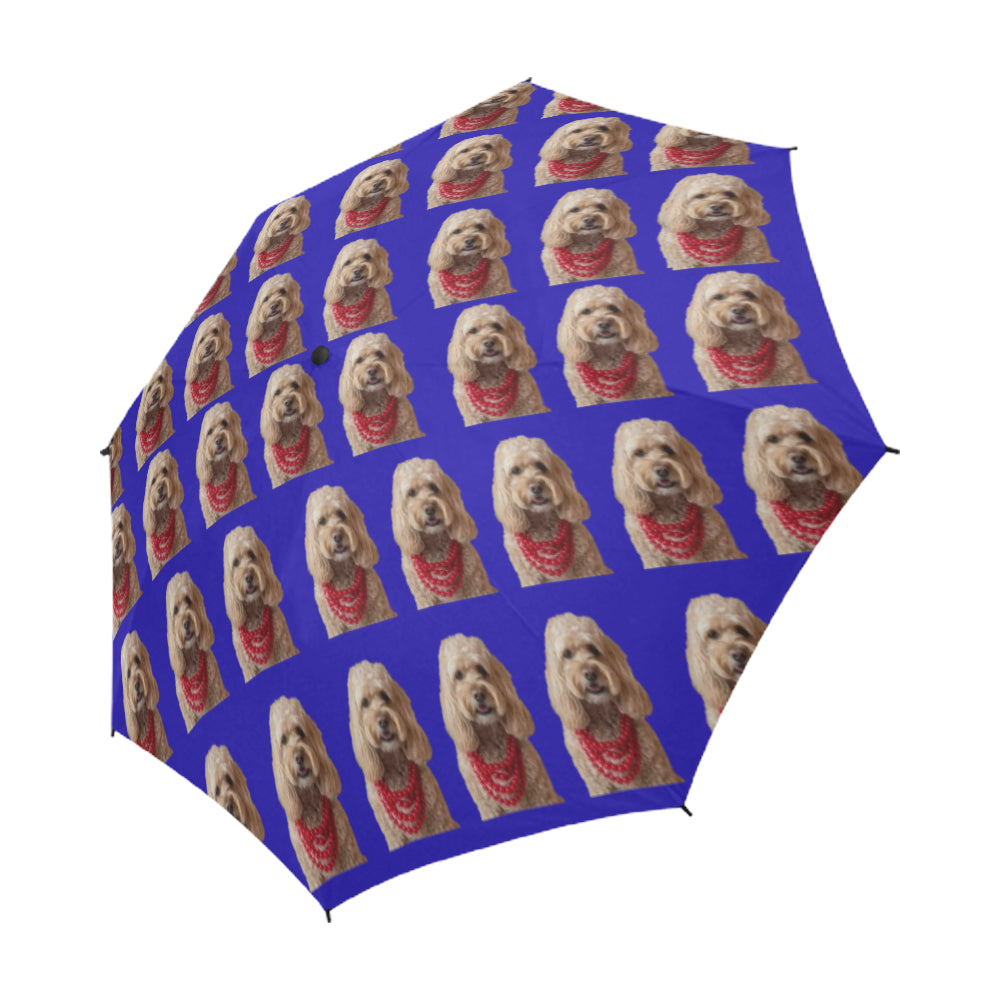 Cockapoo Umbrella - Blue