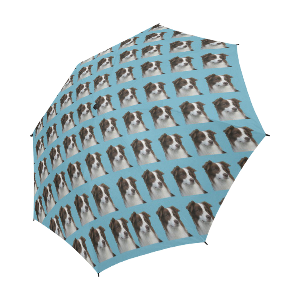 Border sales collie umbrella