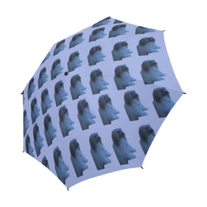 Katie's Umbrella 3