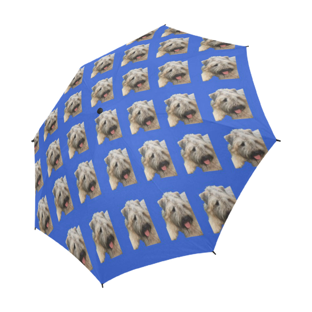 Bouvier des Flanders Umbrella -Logan  Auto Open