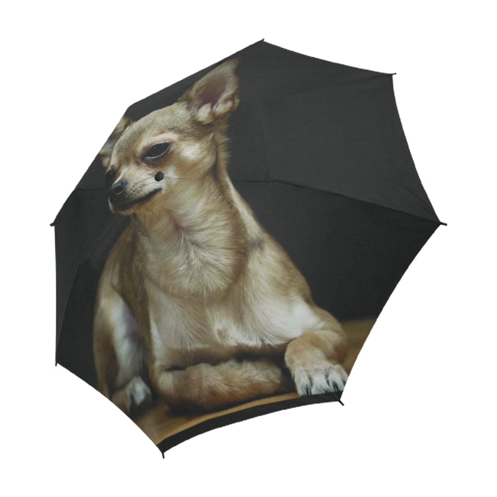 Chihuahua Umbrella -1