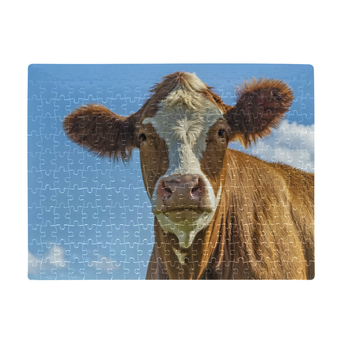 Cow Jigsaw Puzzle -252 pcs