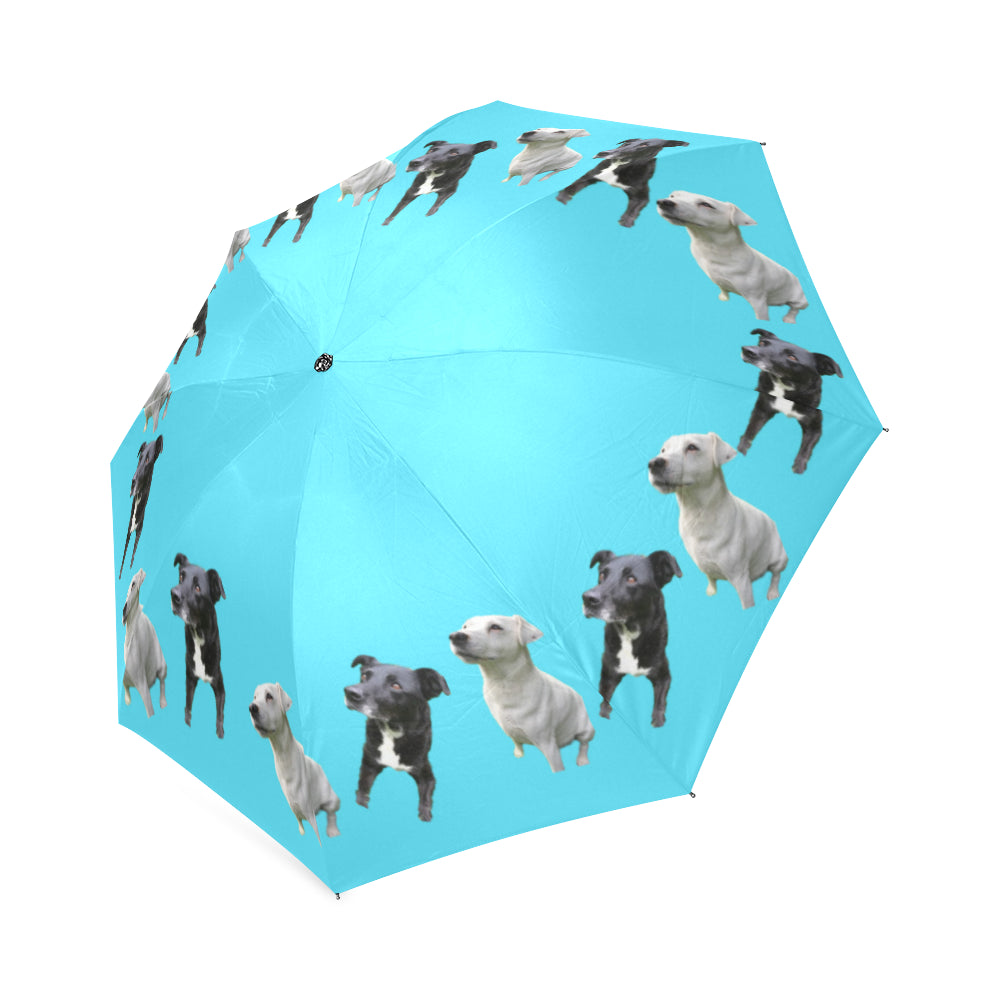 Dog Umbrella