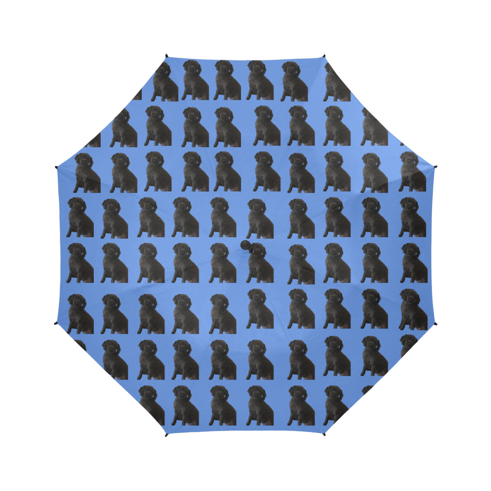 Moodle/Maltipoo Umbrella - Semi Automatic