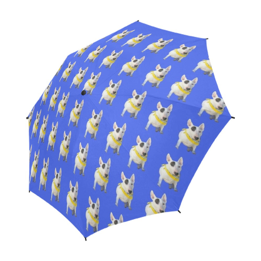 Bull Terrier Umbrella - Blue