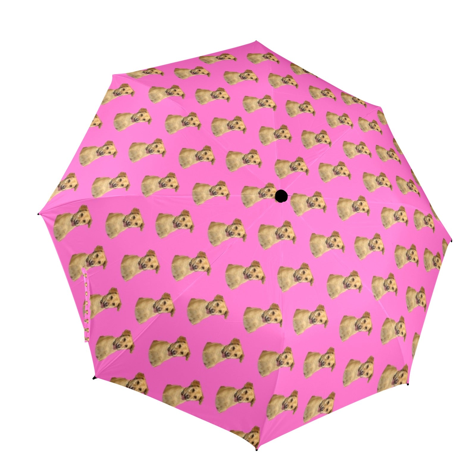 Linda's Umbrella