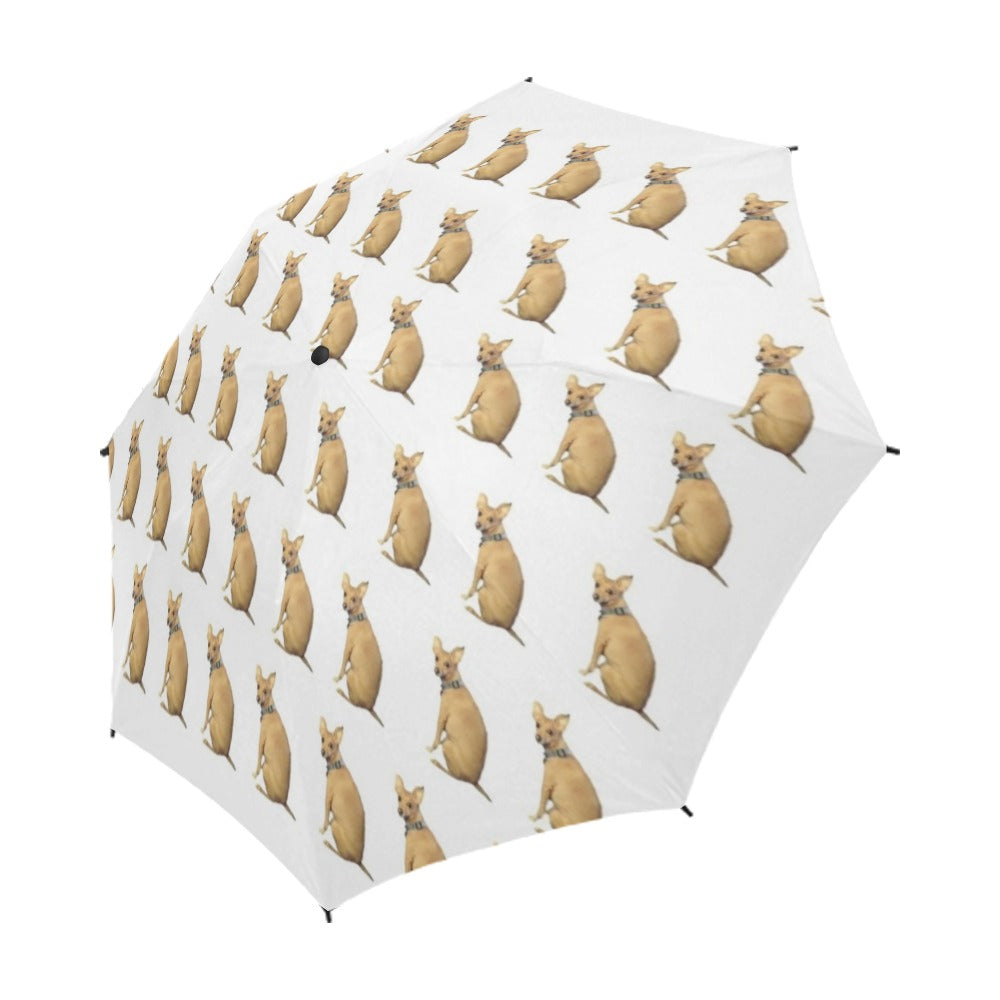 Mini Pinscher Umbrella - Lulu White