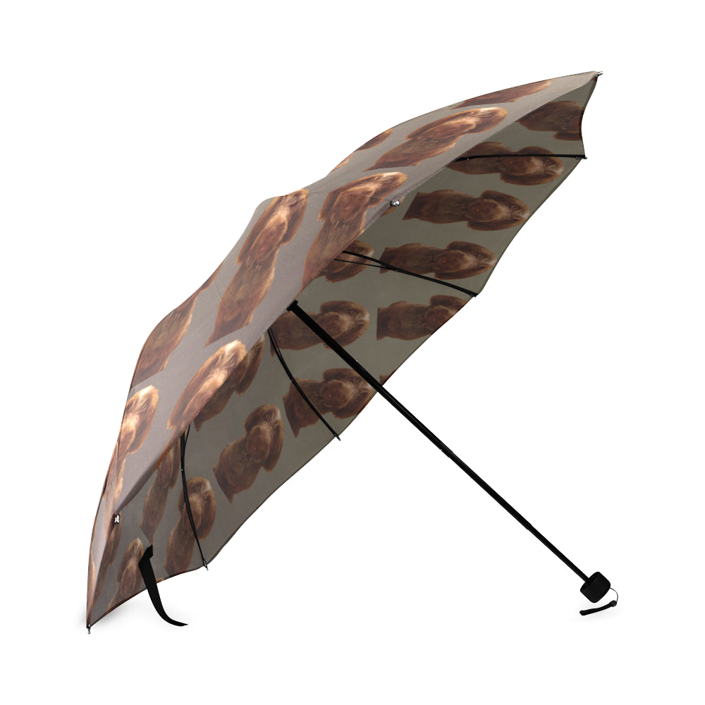 Spinone Italiano Umbrella