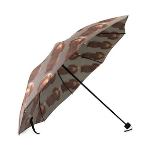 Spinone Italiano Umbrella
