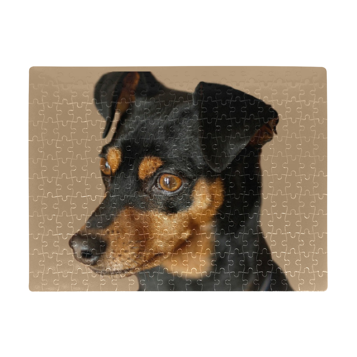 PInscher Jigsaw Puzzle - 252 pcs