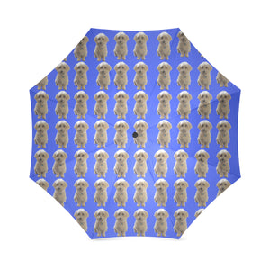 Havanese Umbrella - Blue