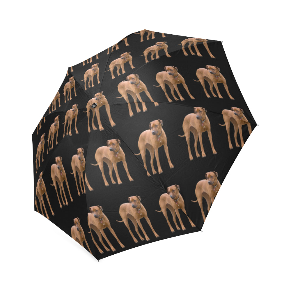 Rhodesian Ridgeback Umbrella