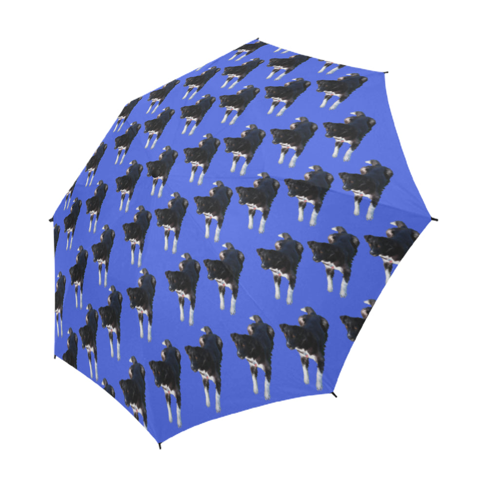 Border Collie Husky Mix Umbrella