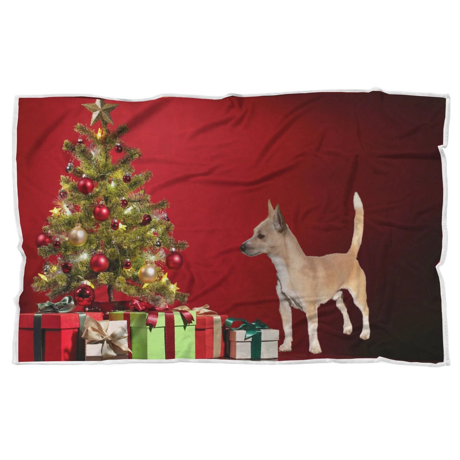 Portuguese Podengo Christmas Blanket