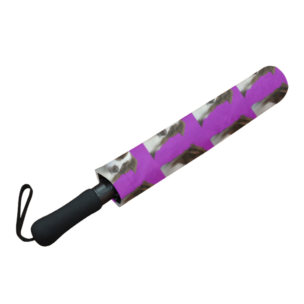 Border Collie Umbrella - Purple