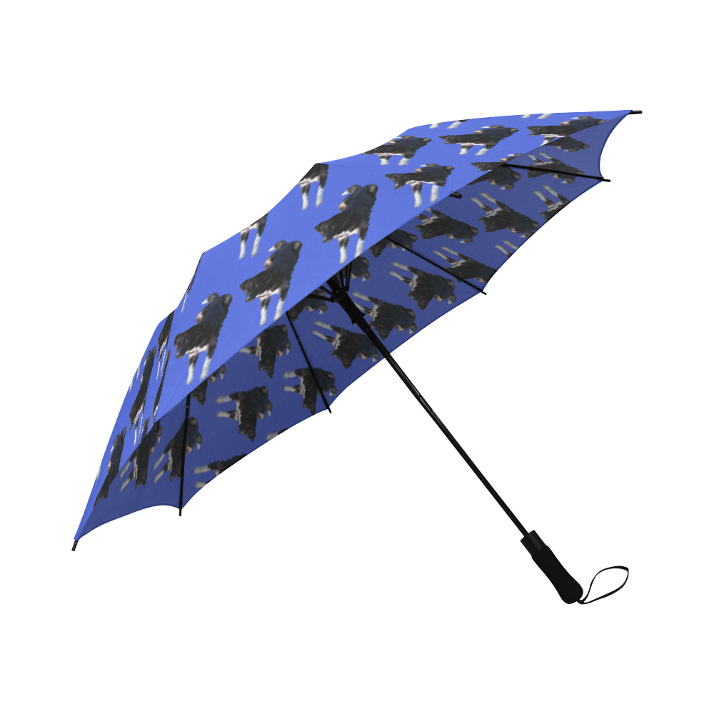 Border Collie Husky Mix Umbrella