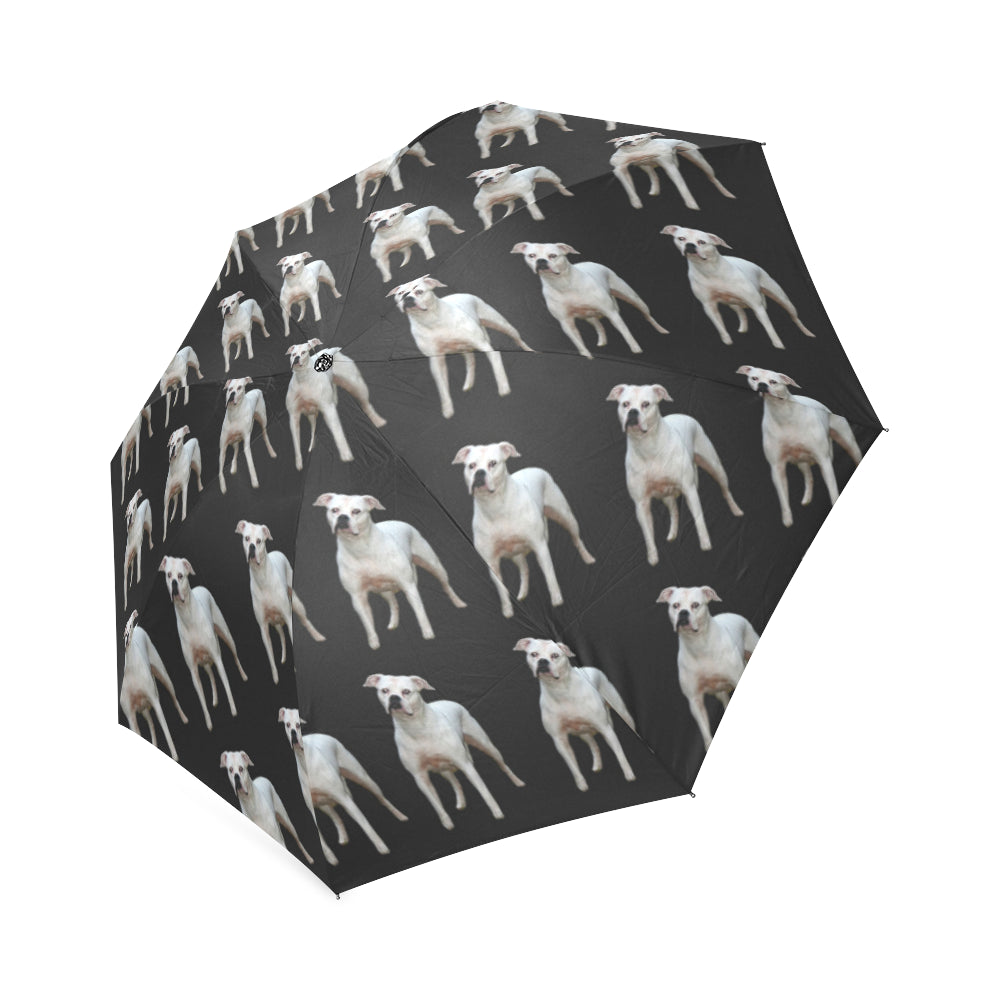 American Bulldog Umbrella
