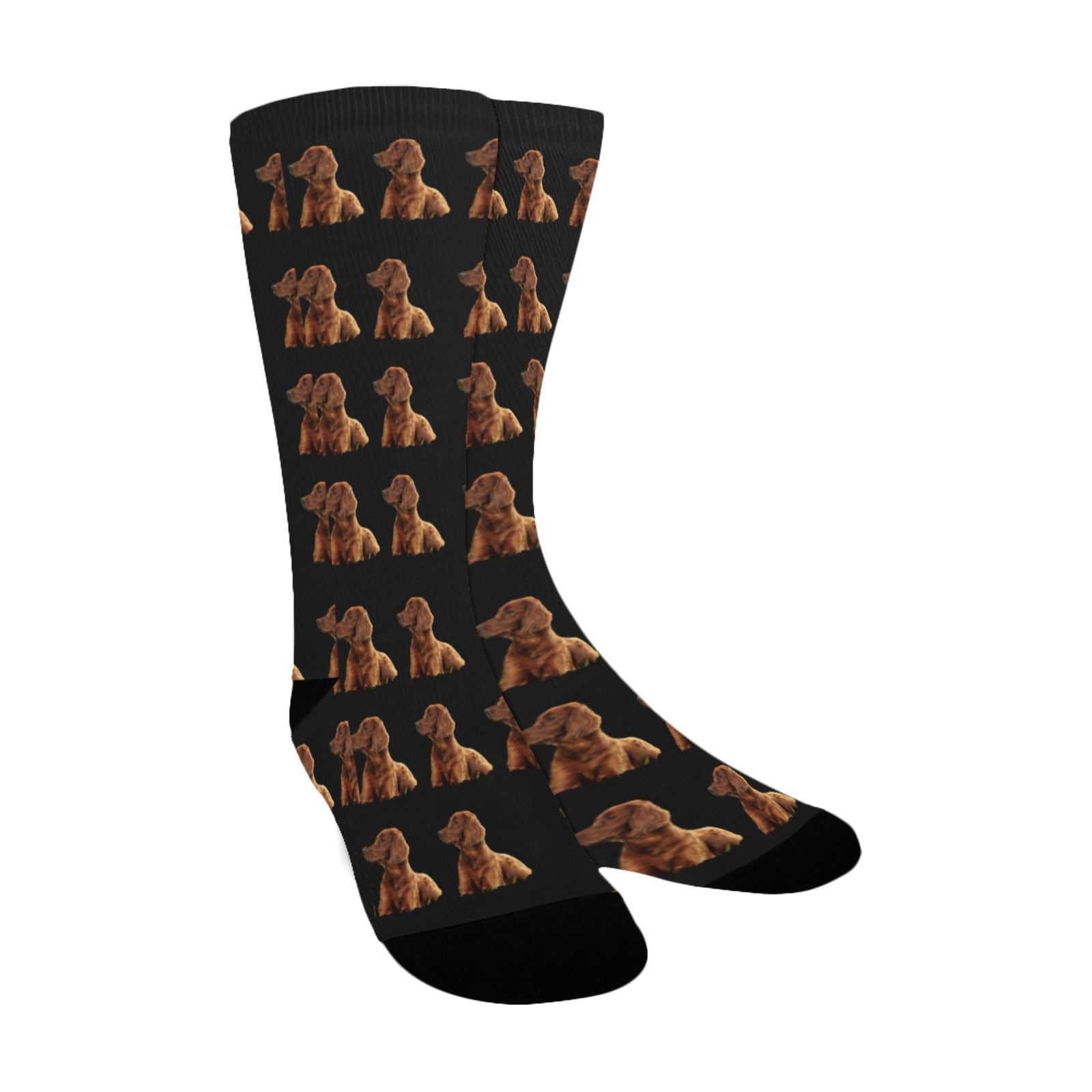 Irish Setter Socks