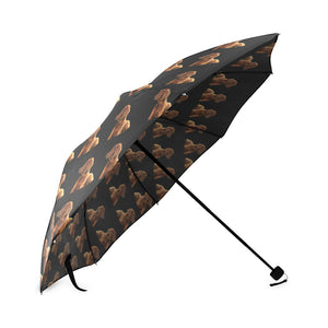 Irish Setter Umbrella - Black