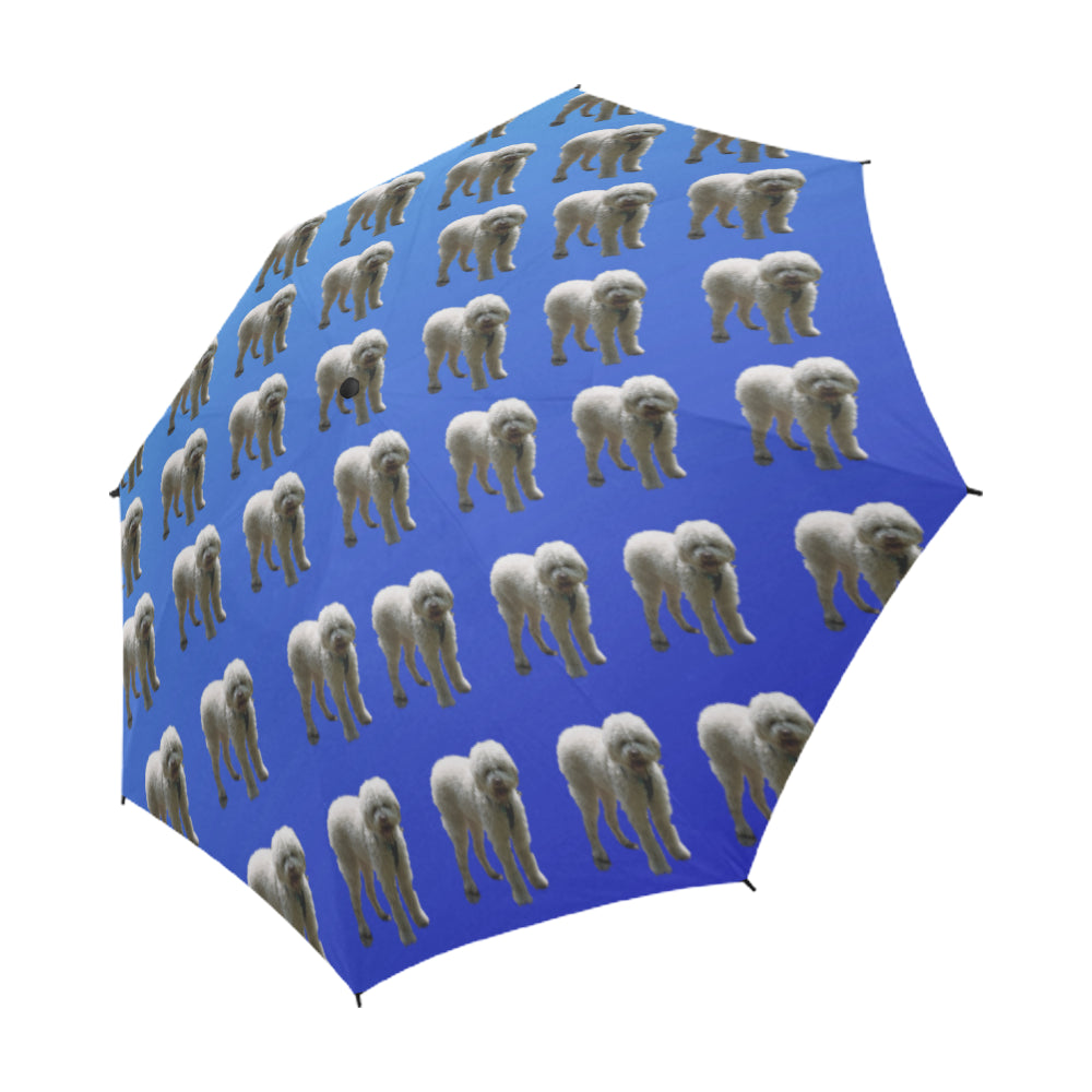 Lagooto Umbrella