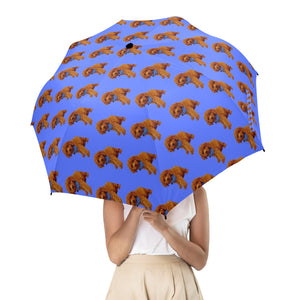 Diane's Poodle/King Charles Umbrella