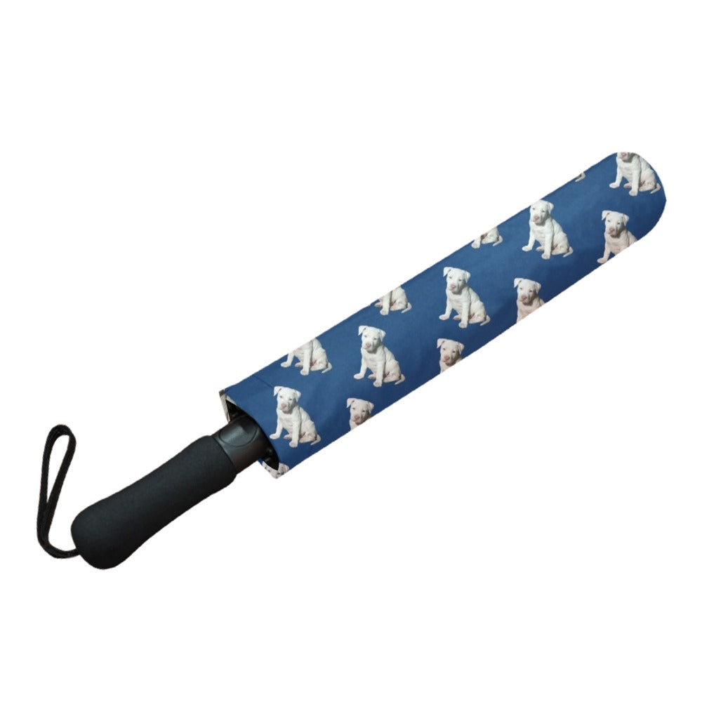 Staffie Puppy Umbrella - White