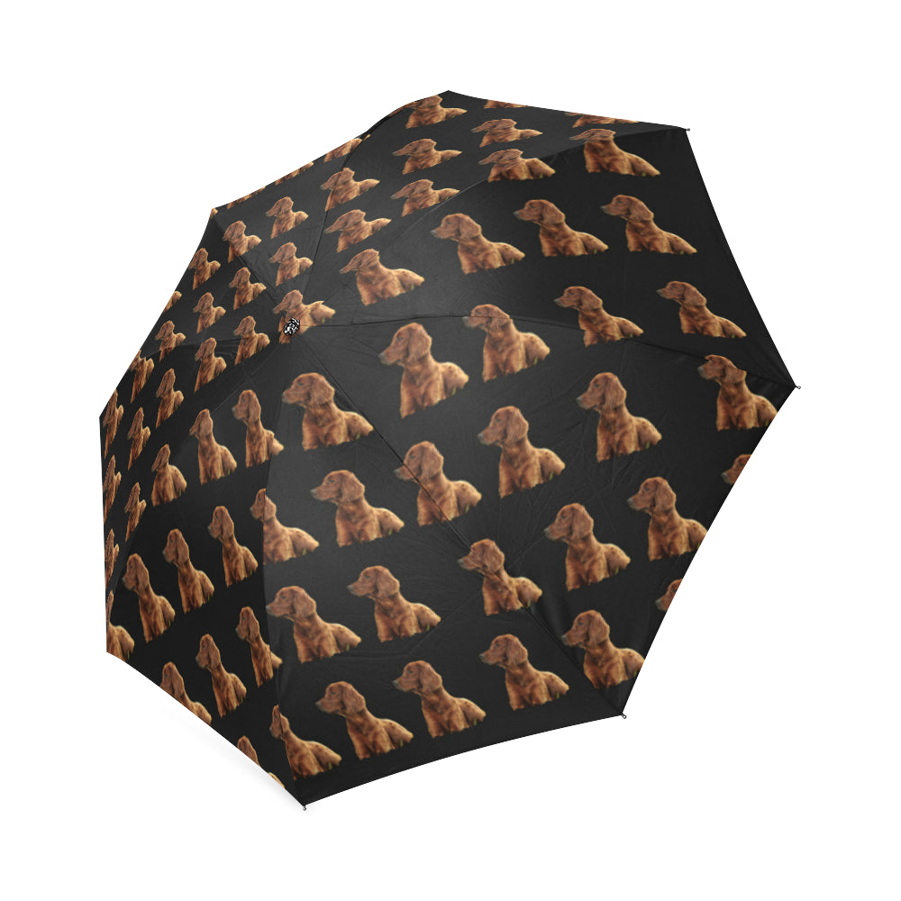 Irish Setter Umbrella - Black