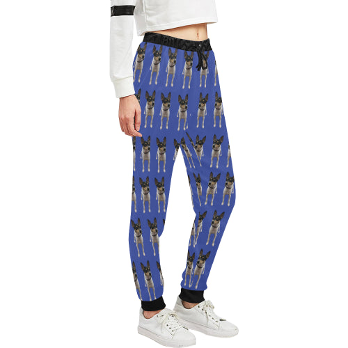 Toy Fox Terrier Pants