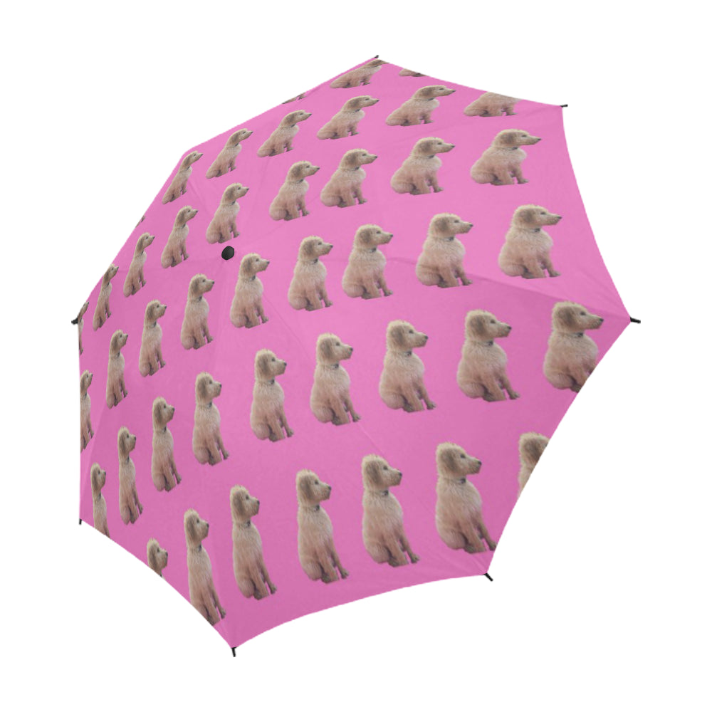 Scott&#39;s Umbrella