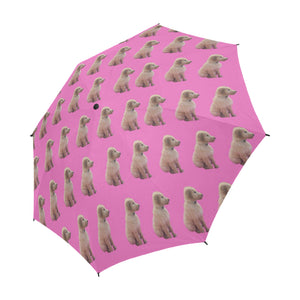 Scott's Umbrella