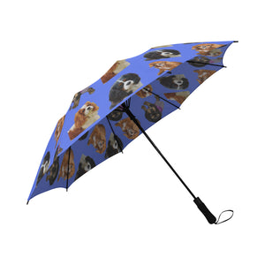 Cavalier King Charles Spaniel Umbrella - All