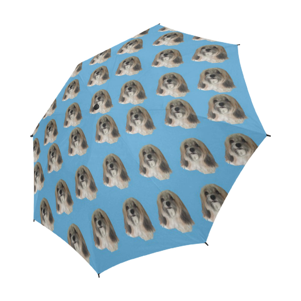 Katie&#39;s Umbrella 2 - Blue