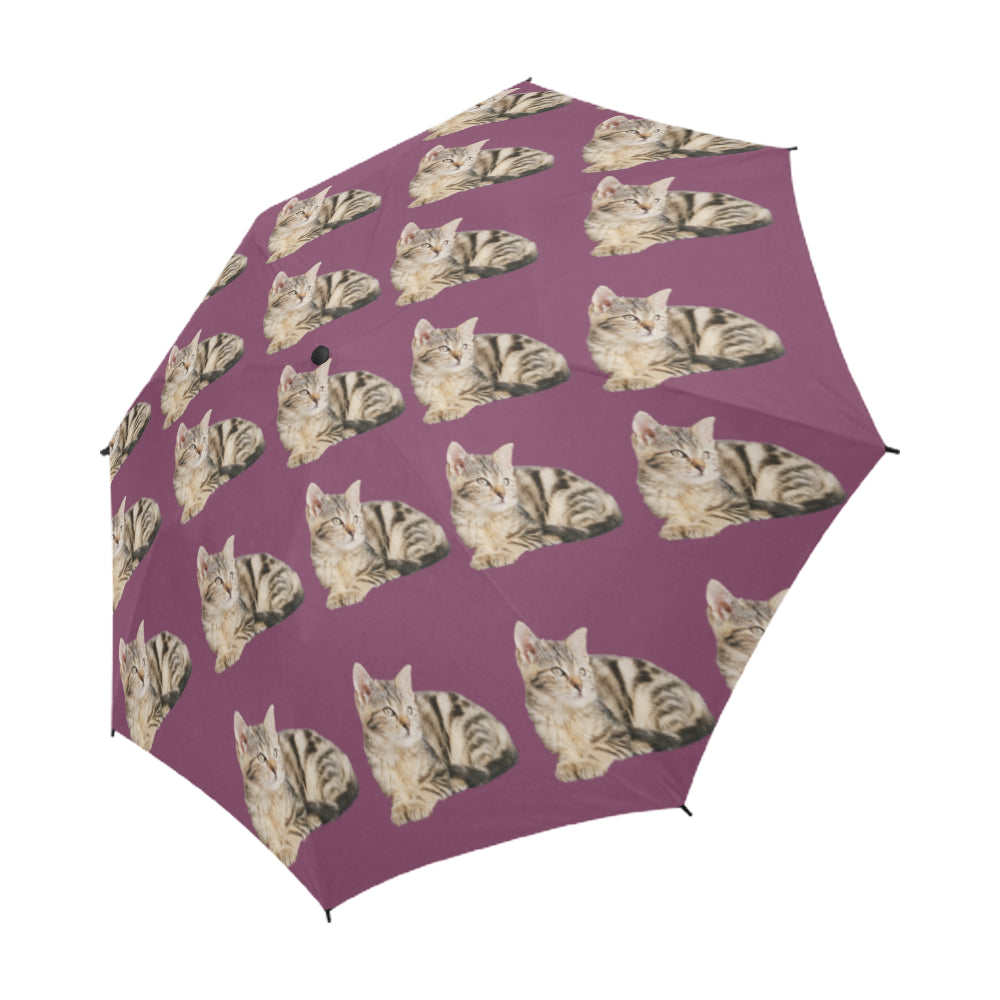 Tabby Cat Umbrella