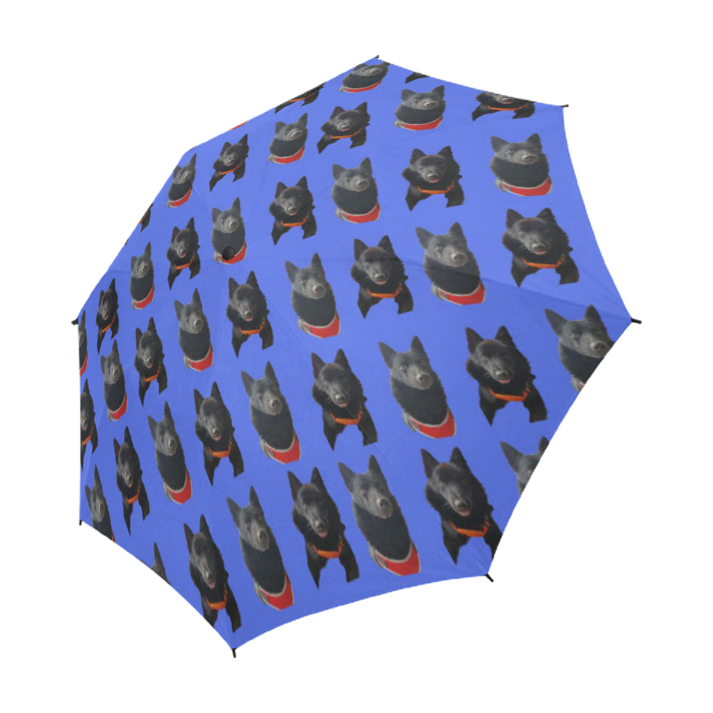 Schipperke Umbrella - Semi Automatic