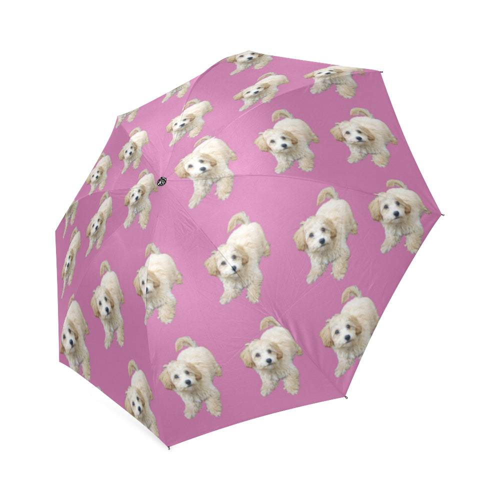 Maltipoo Umbrella - Semi-Auto