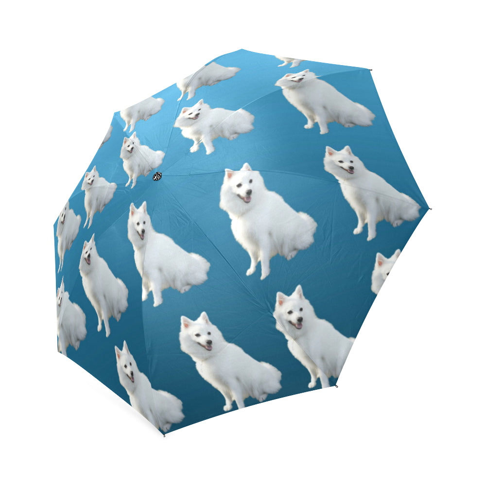 Japanese Spitz Umbrella