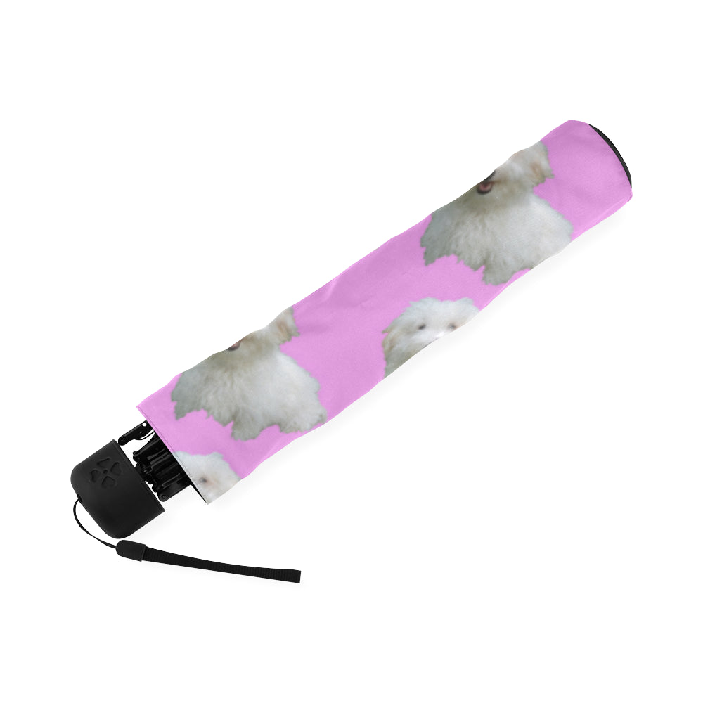 Coton De Tulear Umbrella