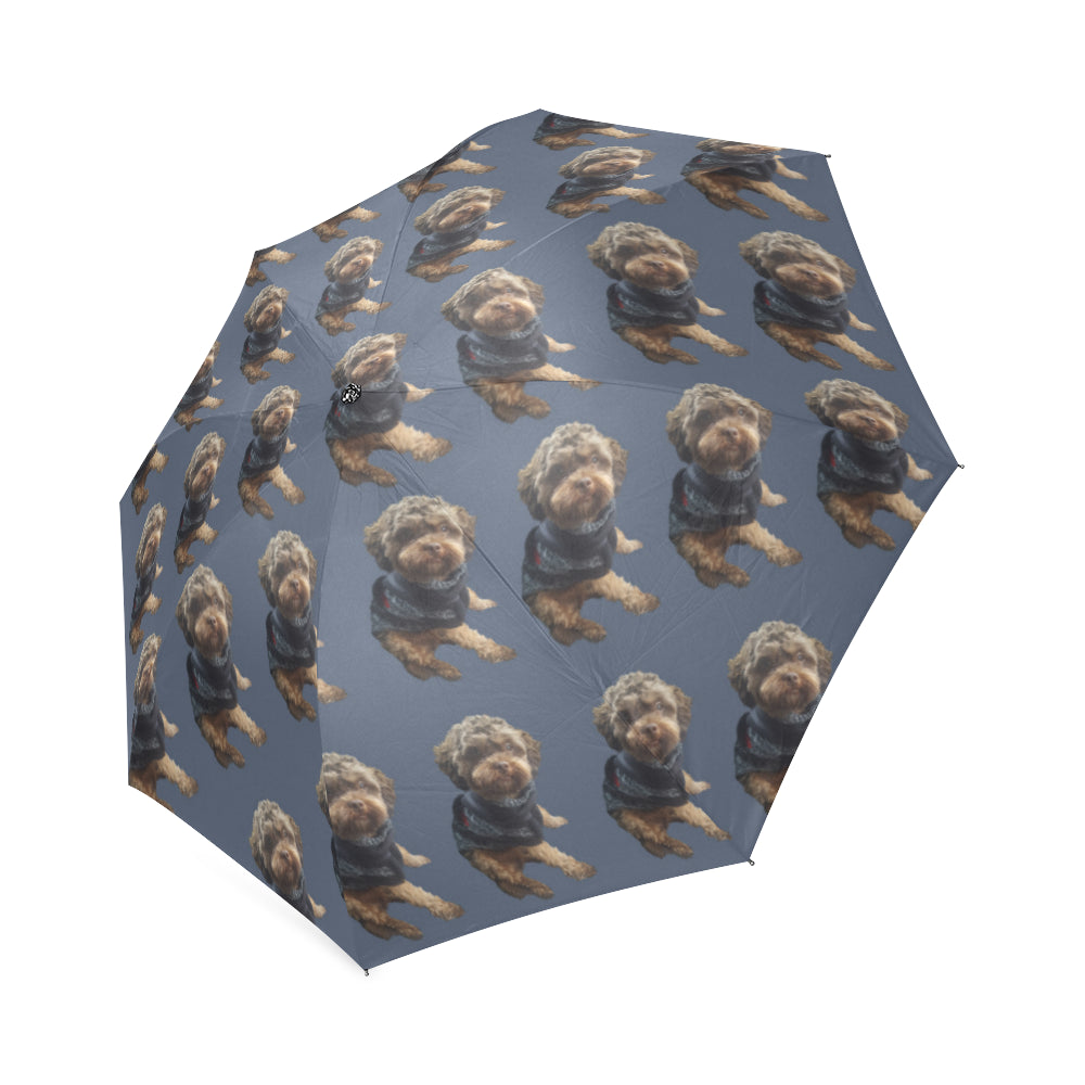 Shih Poo Umbrella - Blue