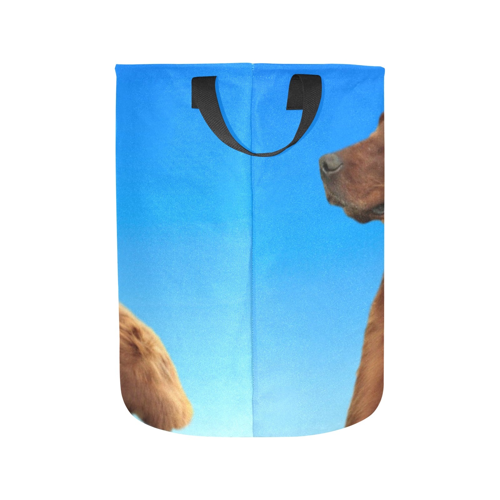 Irish Setter Laundry Basket